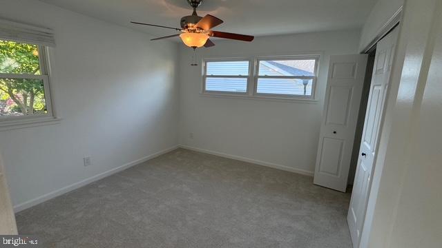 5313 Nutting Drive Springfield, VA 22151 - Photo 7 of 19