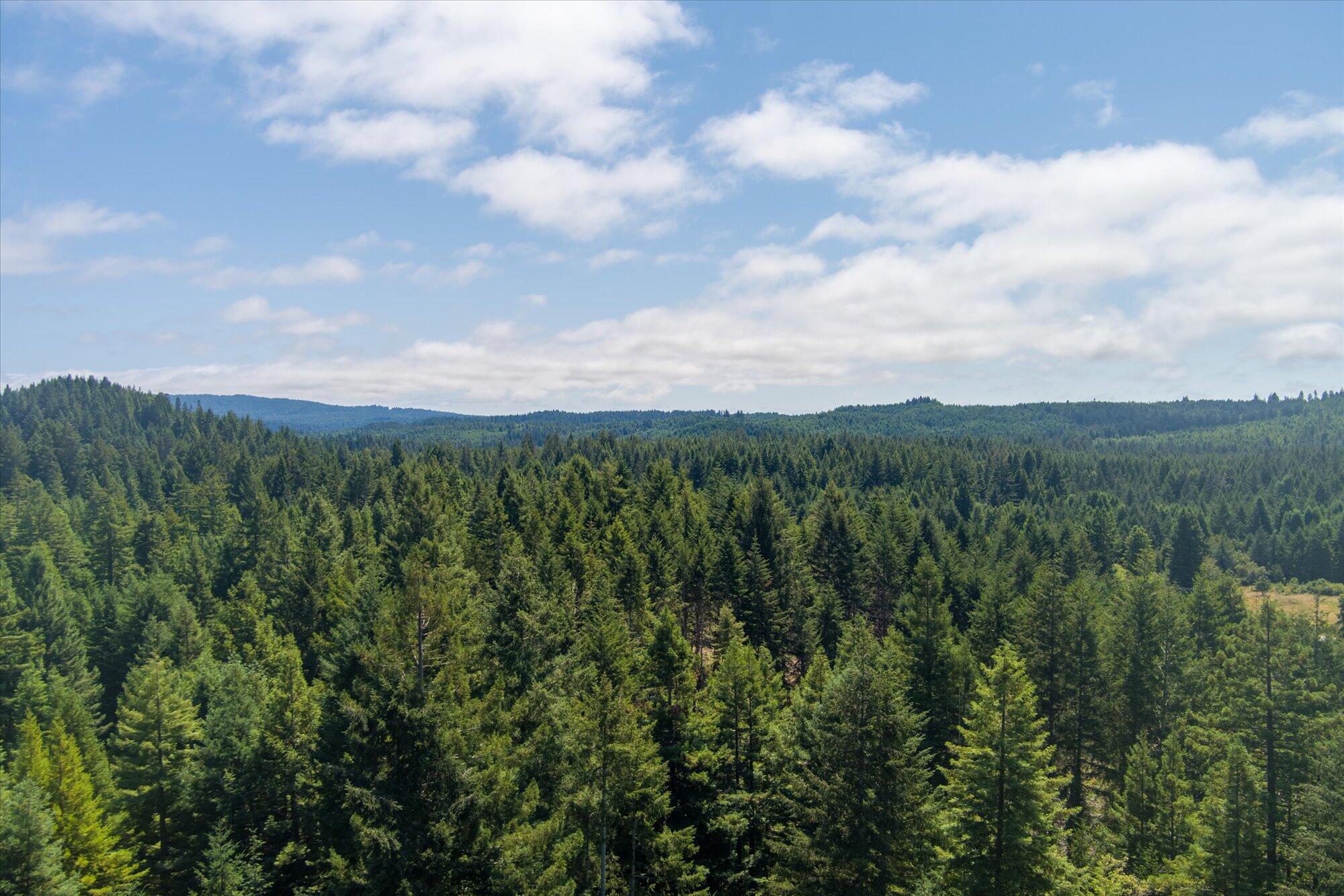 130 Cider Mill Road McKinleyville, CA 95519 - Photo 56 of 61