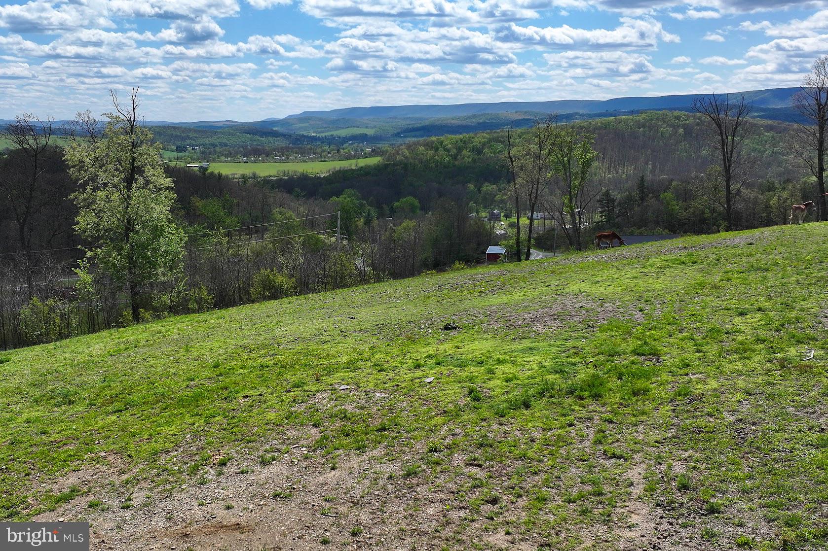 258 Lovely Road Alum Bank, PA 15521 - Photo 78 of 91