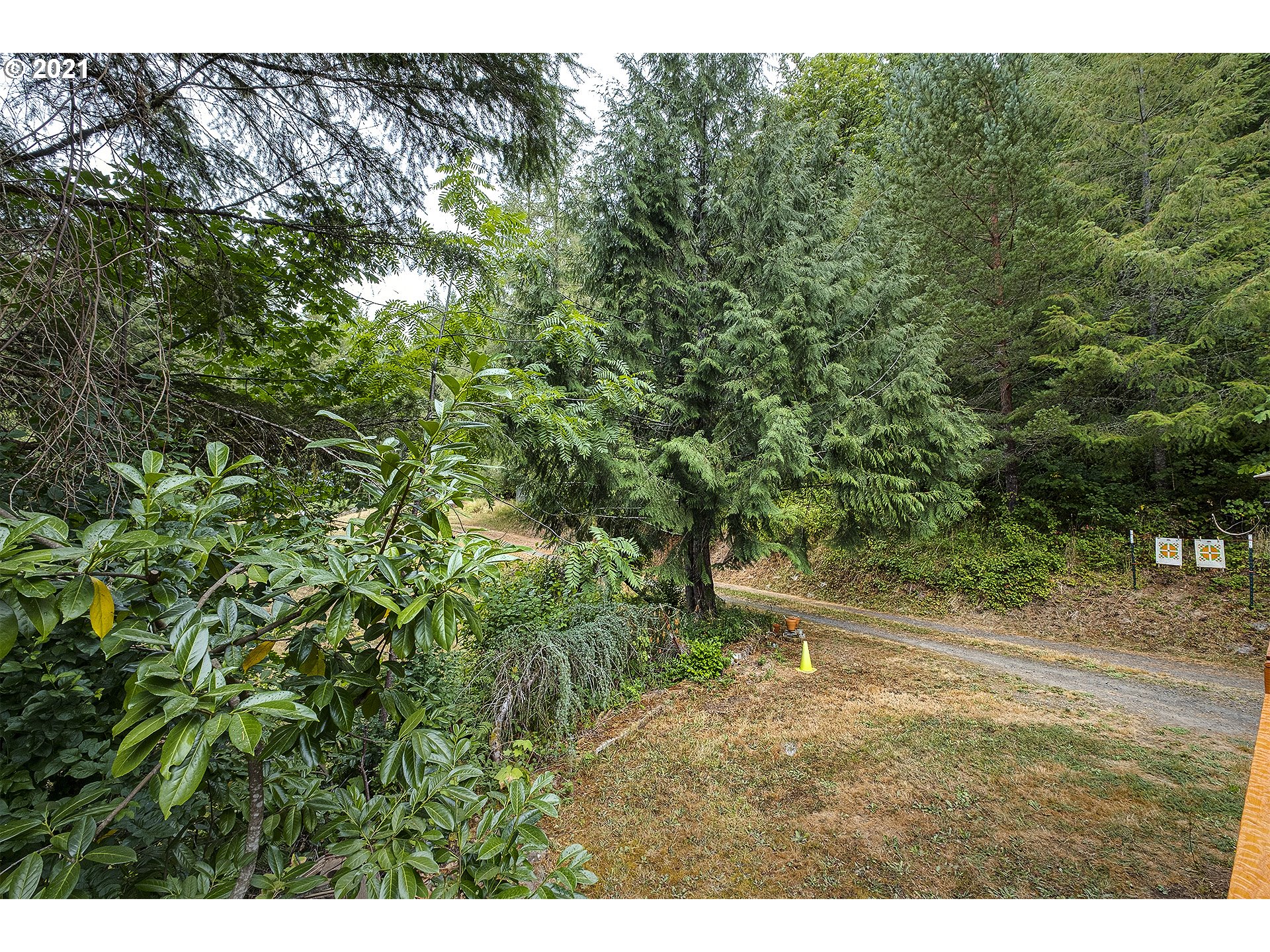 49213 Southwest Patton Valley Road Gaston, OR 97119 - Photo 22 of 32 a view of outdoor space and yard