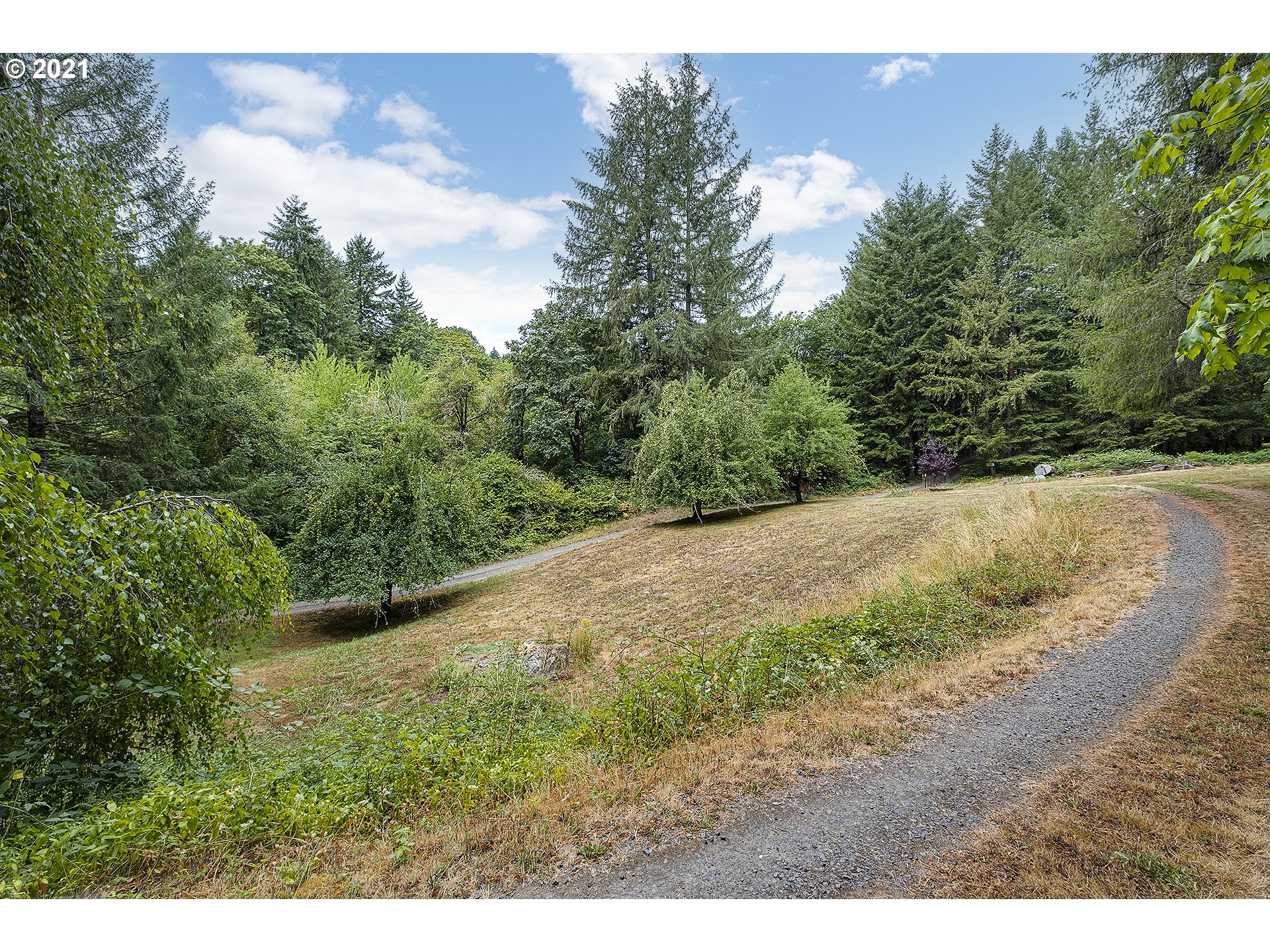 49213 Southwest Patton Valley Road Gaston, OR 97119 - Photo 23 of 32 a view of a yard with a tree