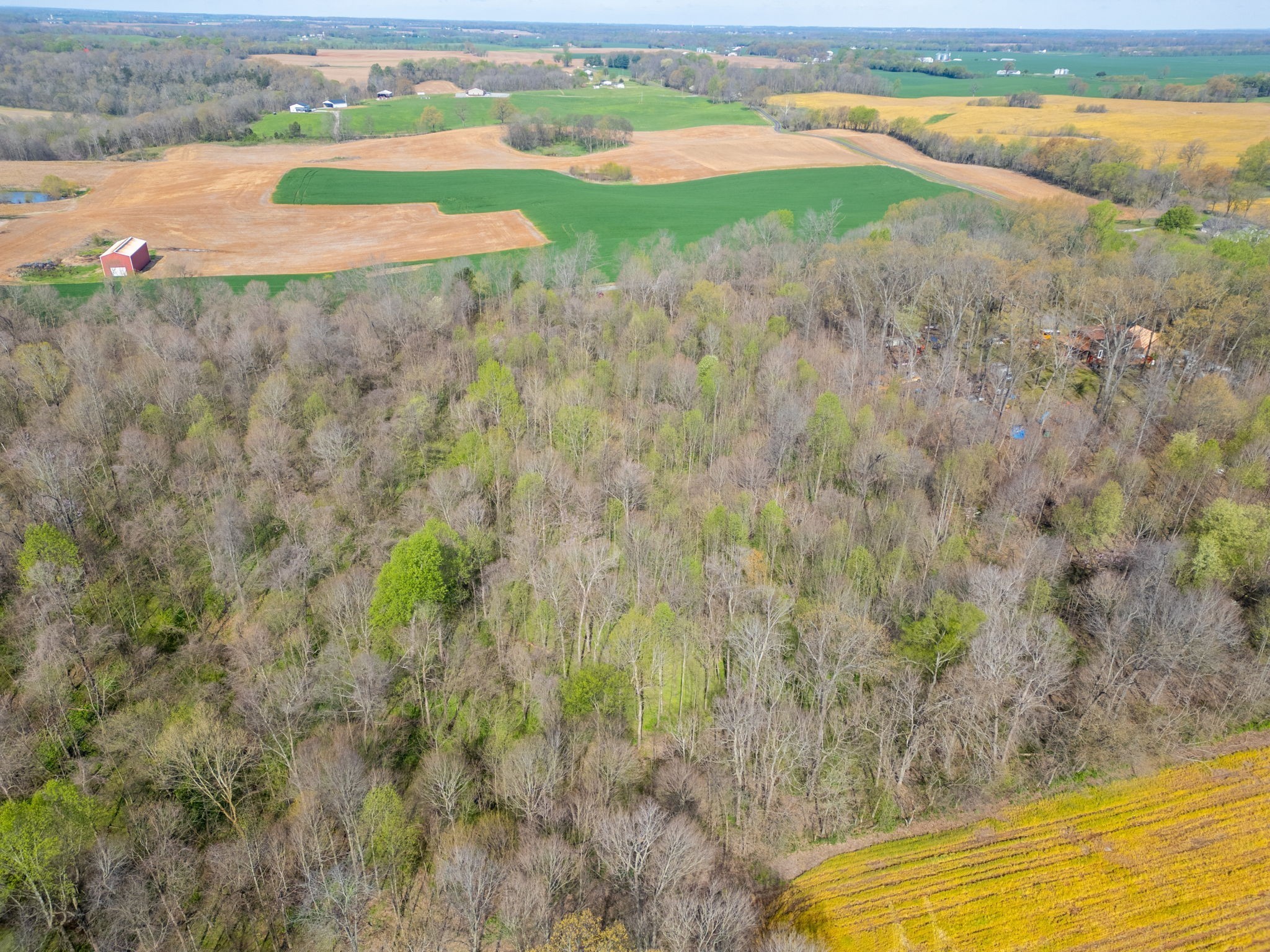 2 J J Bourne Road Adams, TN 37010 - Photo 11 of 28 Gallery Image 11