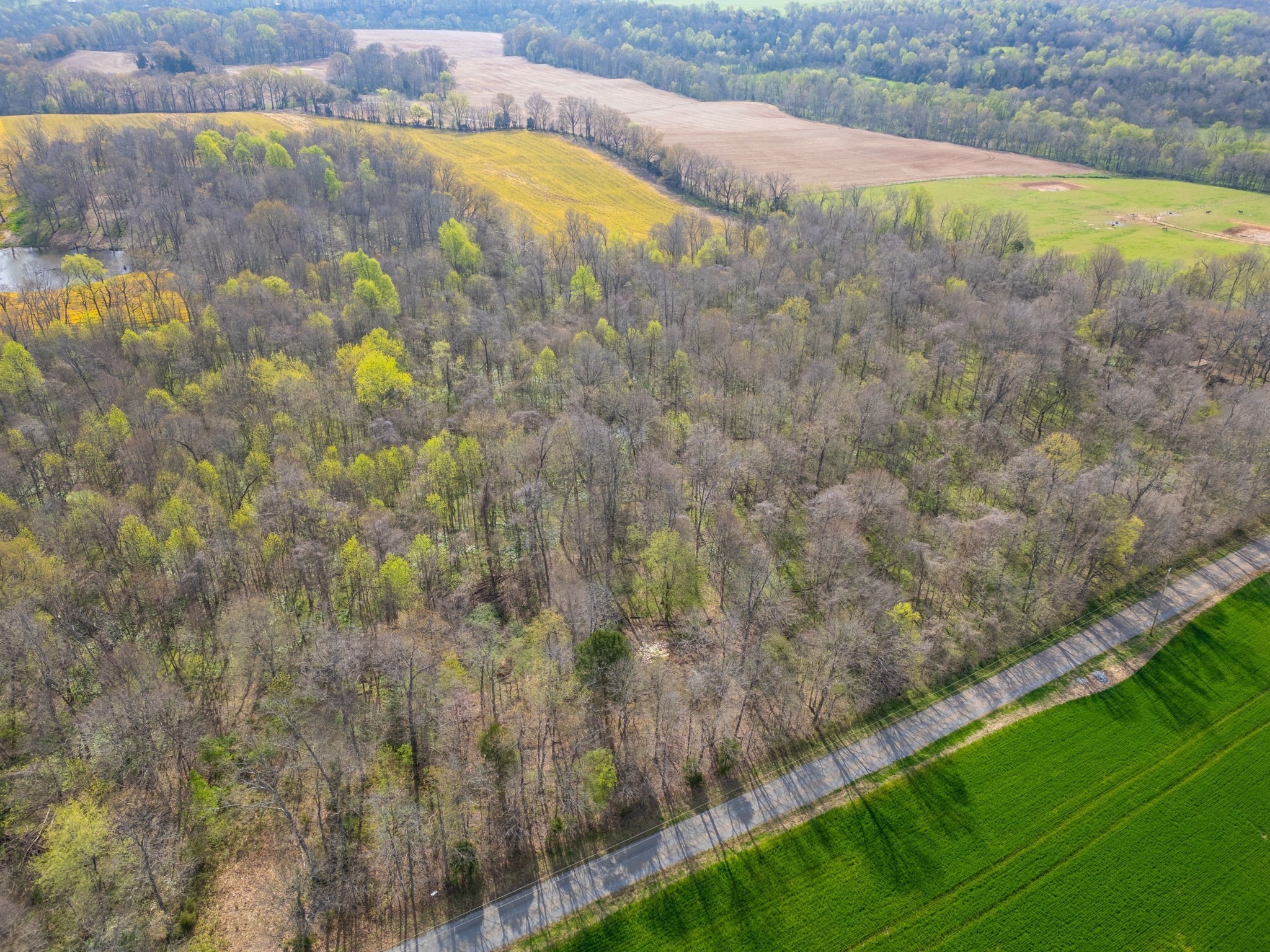 2 J J Bourne Road Adams, TN 37010 - Photo 12 of 28 Gallery Image 12