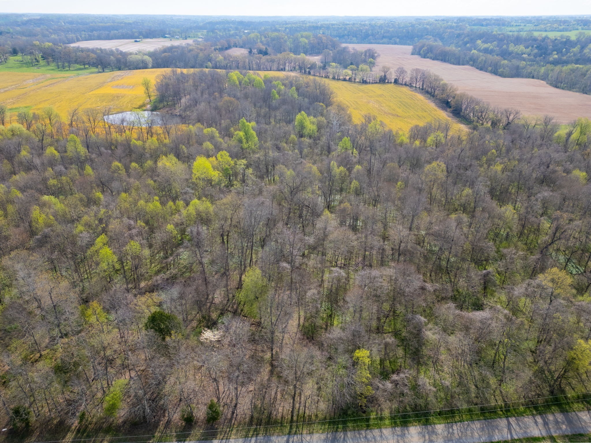 2 J J Bourne Road Adams, TN 37010 - Photo 13 of 28 Gallery Image 13