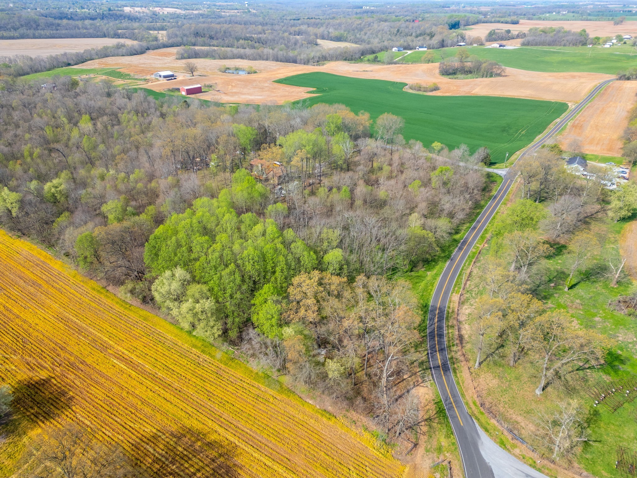 2 J J Bourne Road Adams, TN 37010 - Photo 14 of 28 Gallery Image 14
