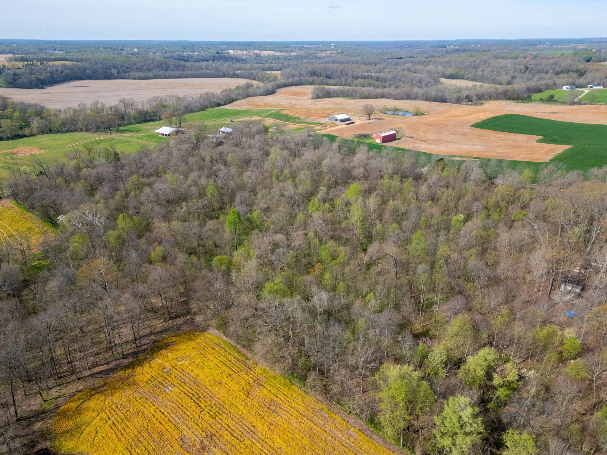 2 J J Bourne Road Adams, TN 37010 - Photo 17 of 28 Gallery Image 17
