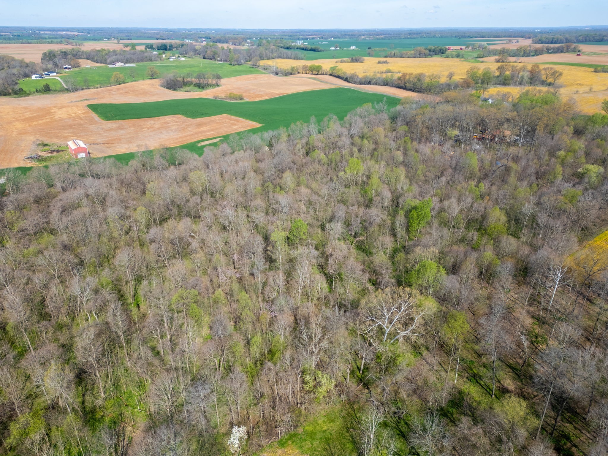 2 J J Bourne Road Adams, TN 37010 - Photo 18 of 28 Gallery Image 18