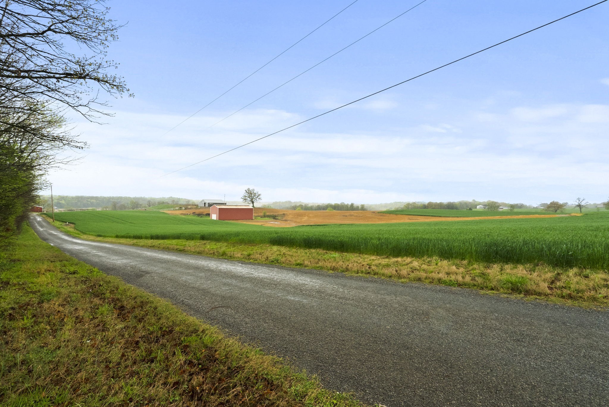 2 J J Bourne Road Adams, TN 37010 - Photo 2 of 28 Gallery Image 2