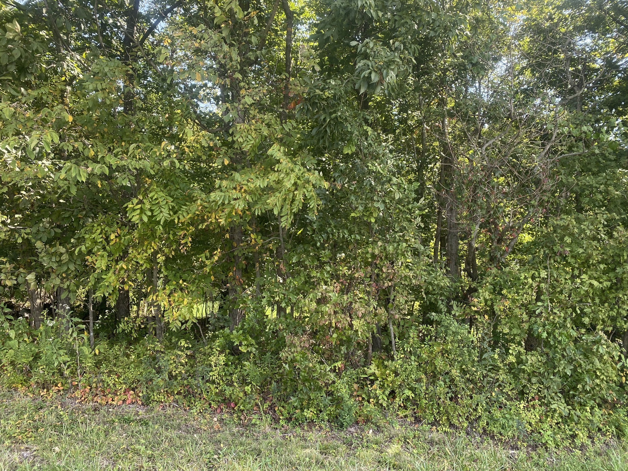 2 J J Bourne Road Adams, TN 37010 - Photo 24 of 28 Gallery Image 24