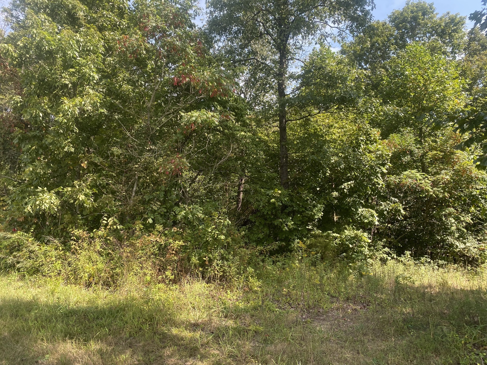 2 J J Bourne Road Adams, TN 37010 - Photo 26 of 28 Gallery Image 26