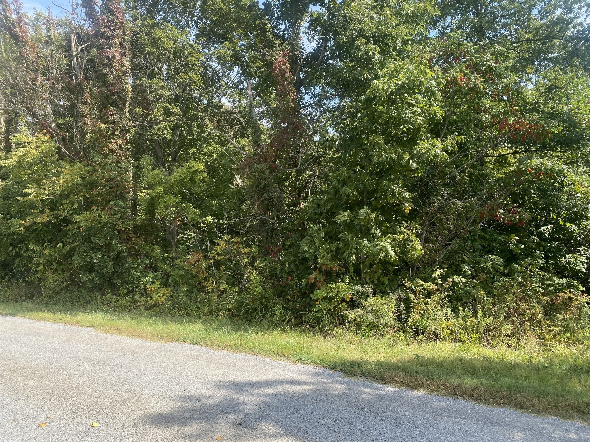 2 J J Bourne Road Adams, TN 37010 - Photo 27 of 28 Gallery Image 27