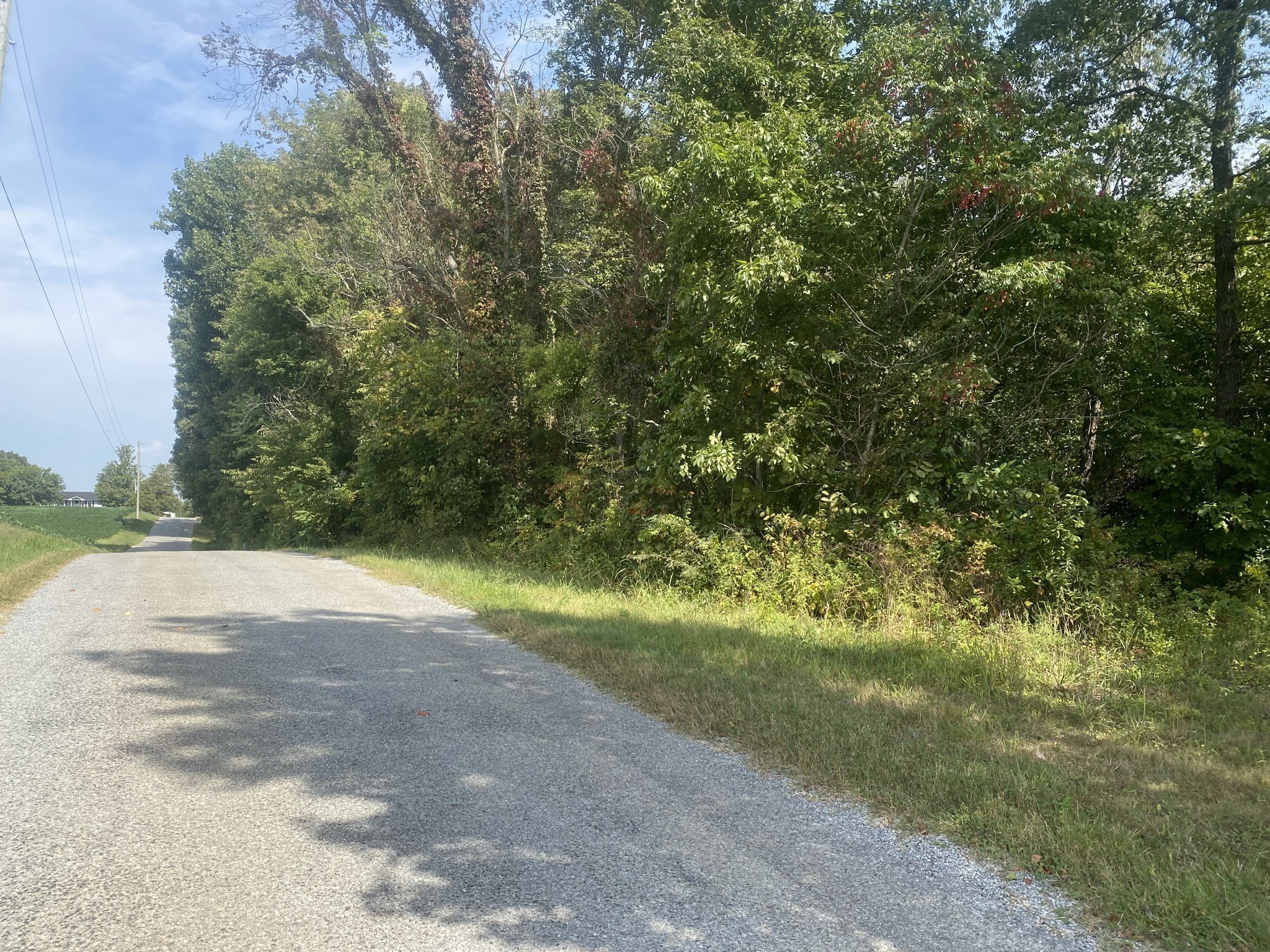 2 J J Bourne Road Adams, TN 37010 - Photo 28 of 28 Gallery Image 28