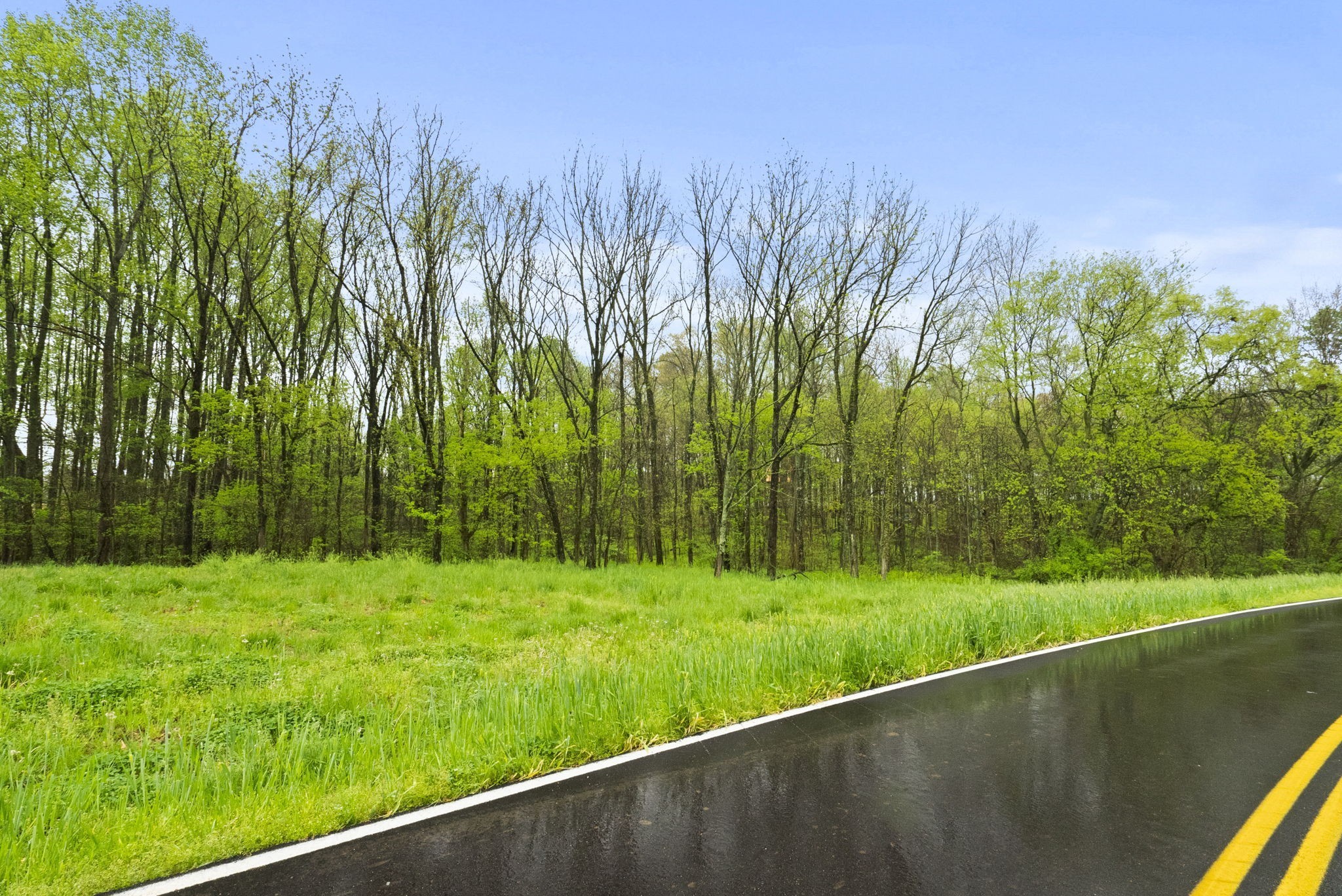 2 J J Bourne Road Adams, TN 37010 - Photo 3 of 28 Gallery Image 3