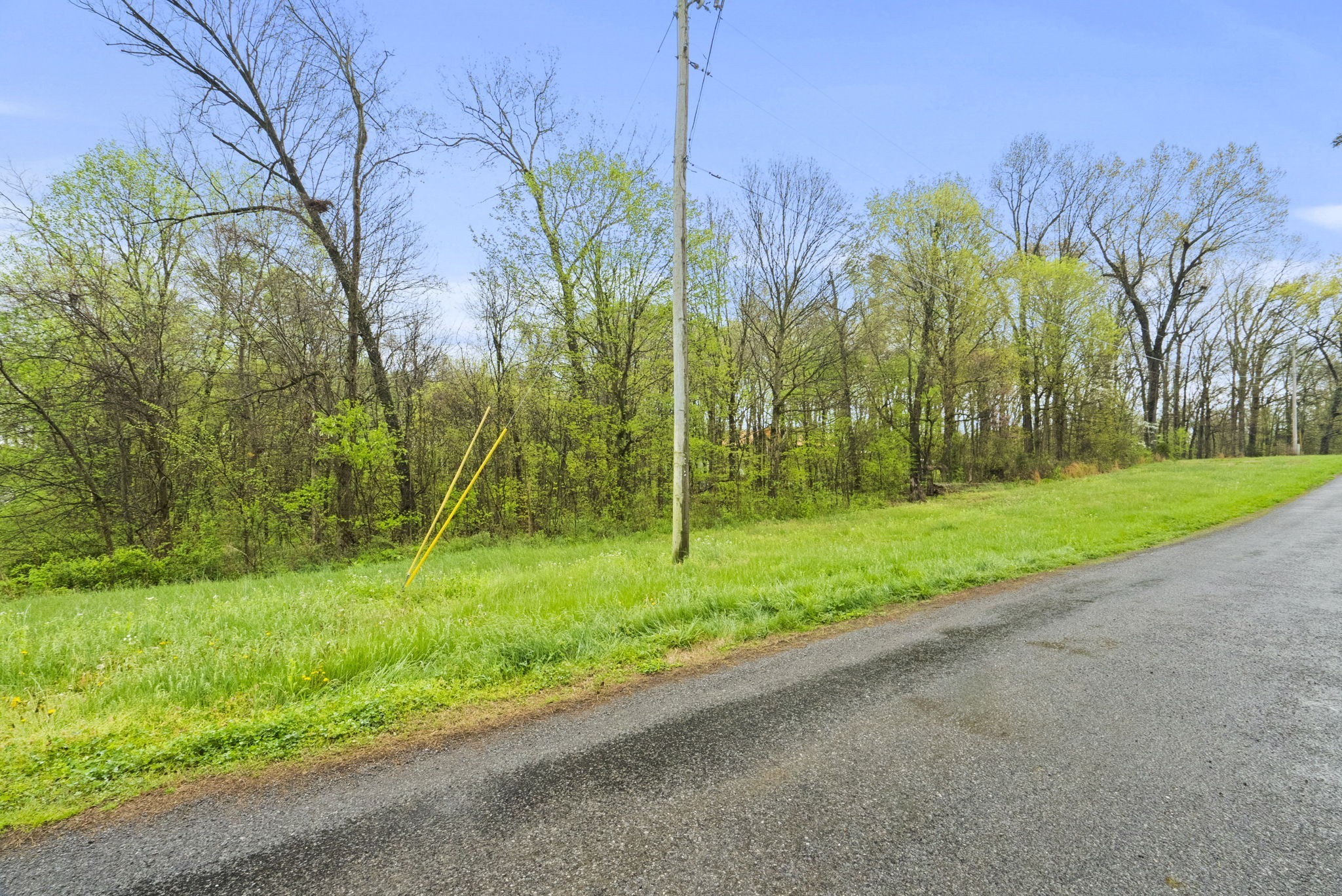 2 J J Bourne Road Adams, TN 37010 - Photo 4 of 28 Gallery Image 4