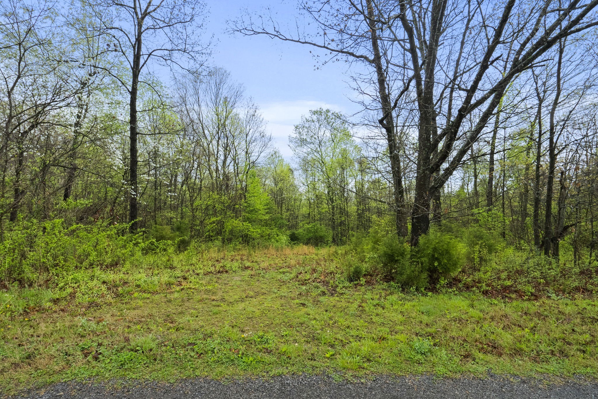 2 J J Bourne Road Adams, TN 37010 - Photo 5 of 28 Gallery Image 5