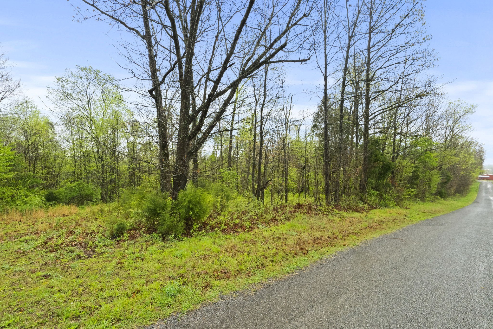 2 J J Bourne Road Adams, TN 37010 - Photo 6 of 28 Gallery Image 6