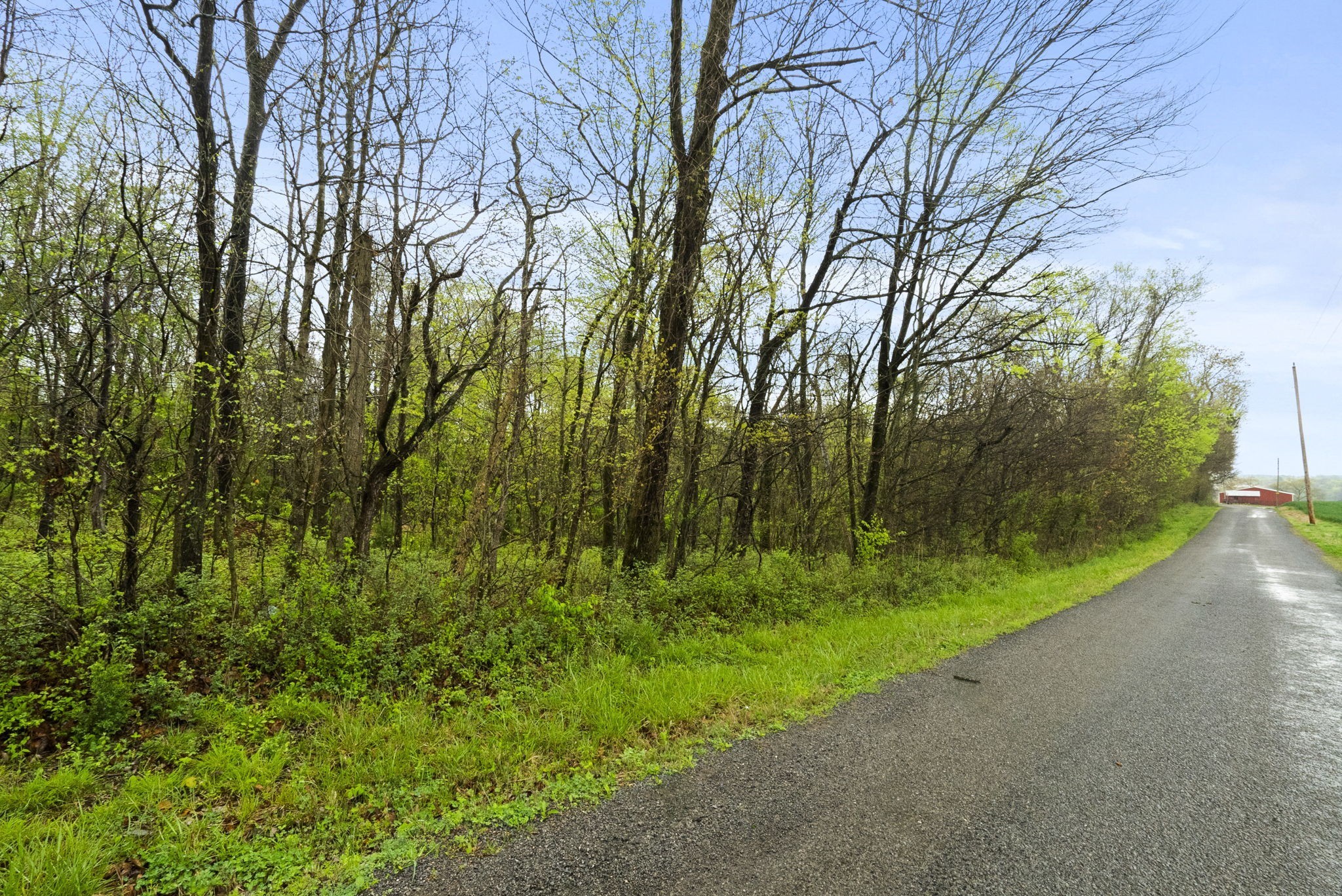 2 J J Bourne Road Adams, TN 37010 - Photo 7 of 28 Gallery Image 7