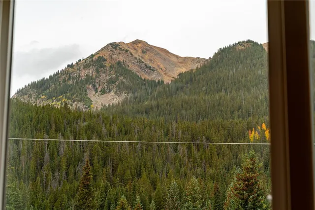 a view of a small yard