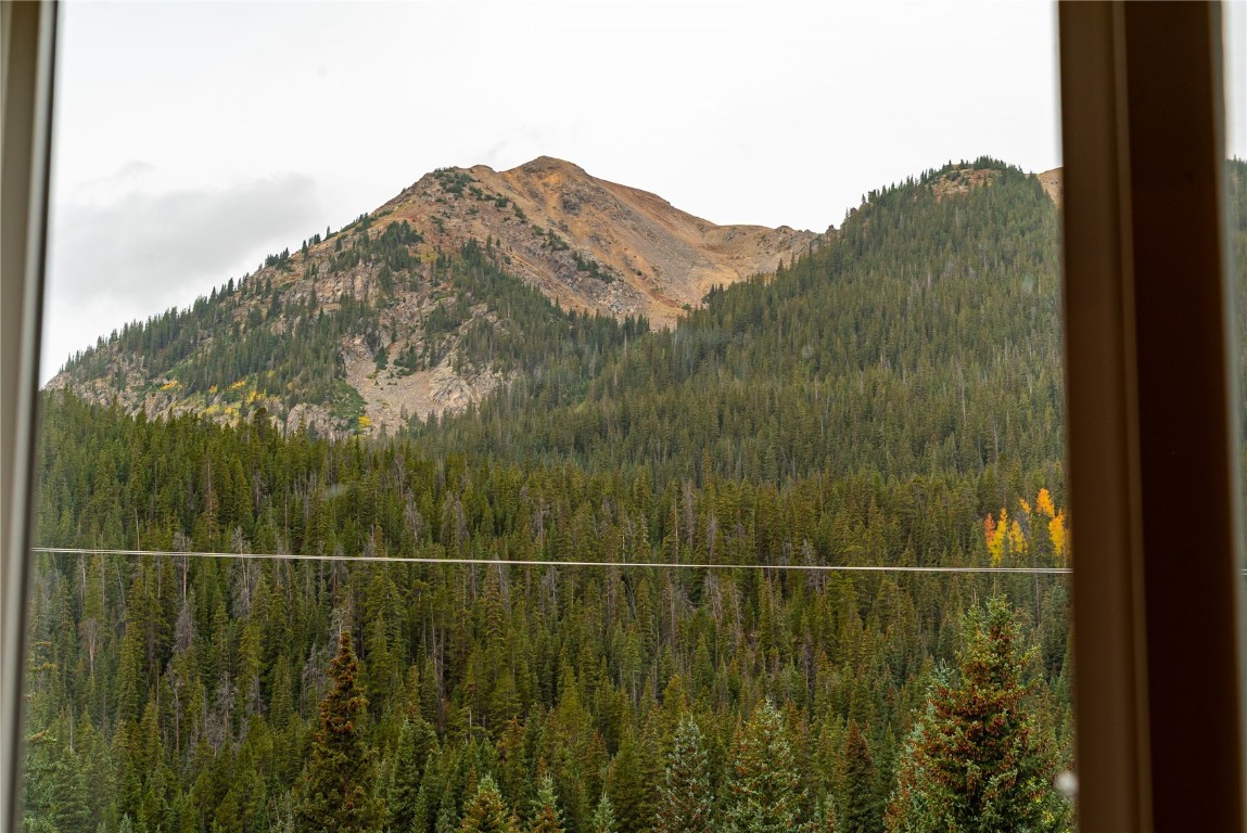 5277 Montezuma Road Montezuma, CO 80435 - Photo 24 of 30 a view of a small yard