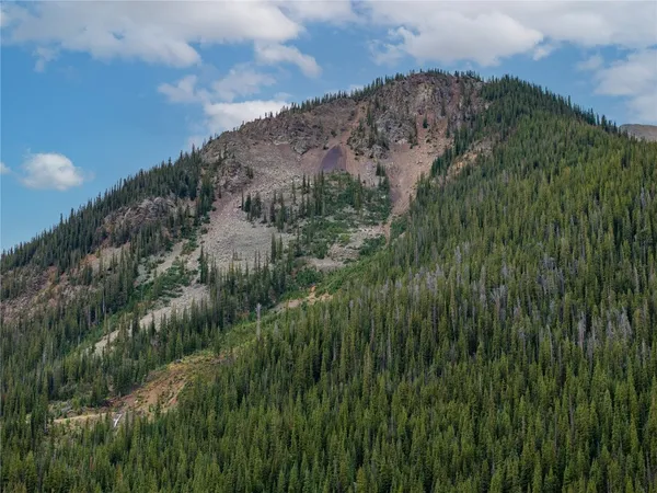 a view of a lush green space with sea