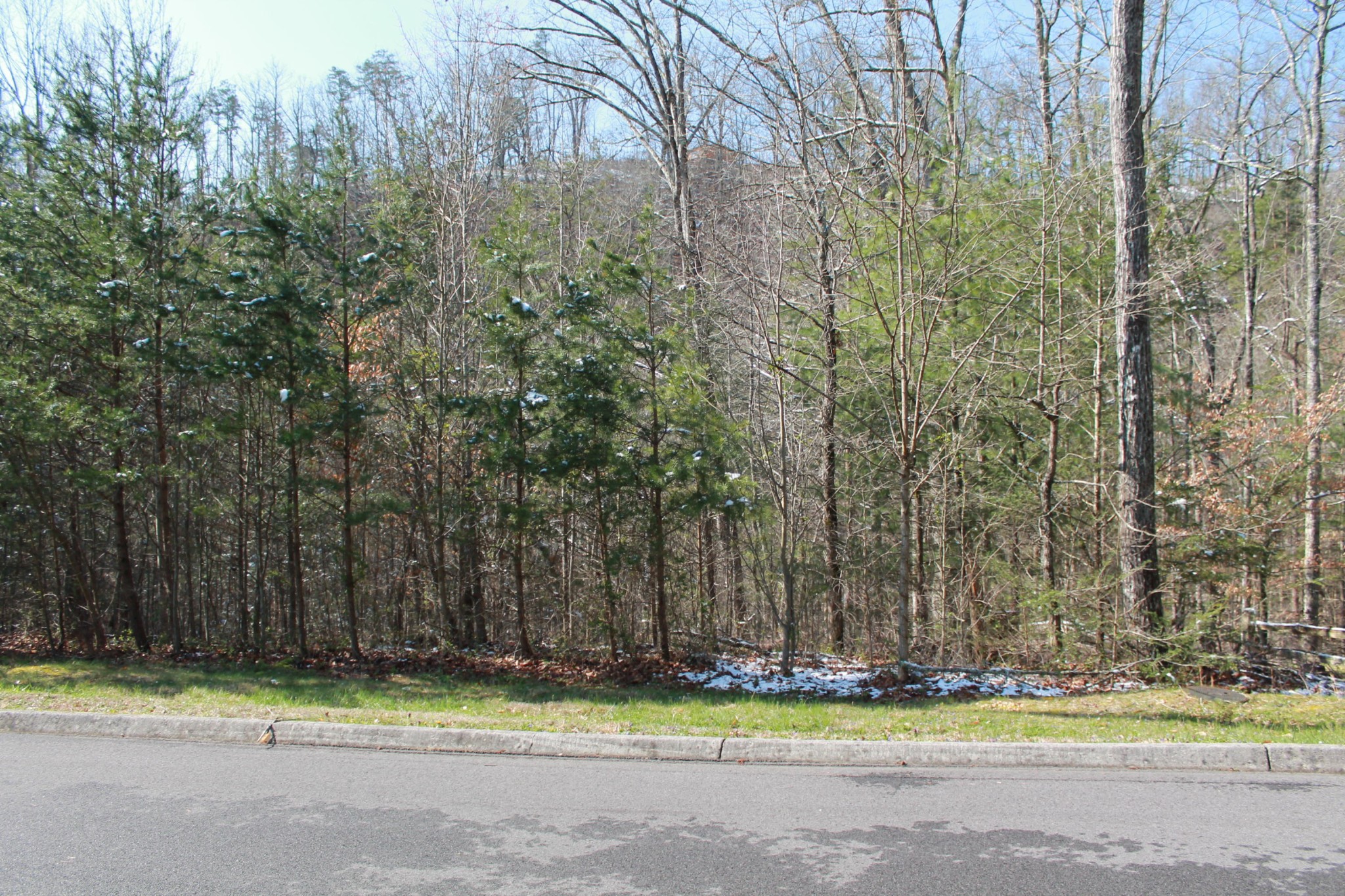 89 Smoky Cove Road Sevierville, TN 37876 - Photo 9 of 9 Gallery Image 9