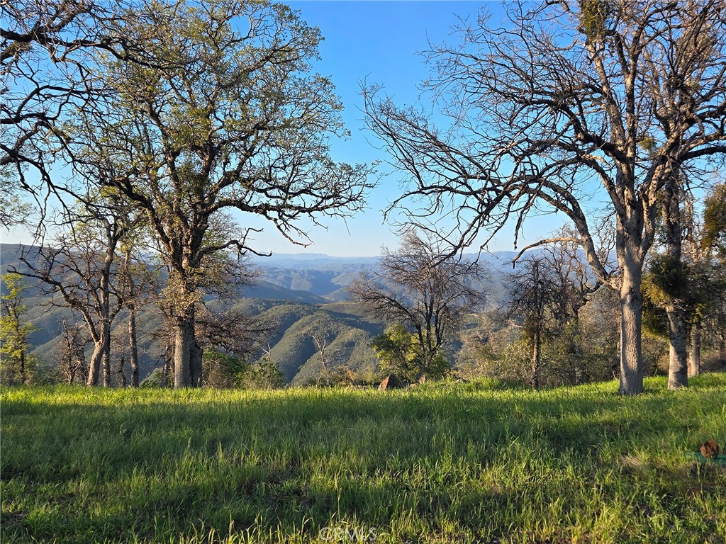 6097 Sherlock Road Midpines, CA 95345 - Photo 32 of 37 a backyard of a house with lots of green space