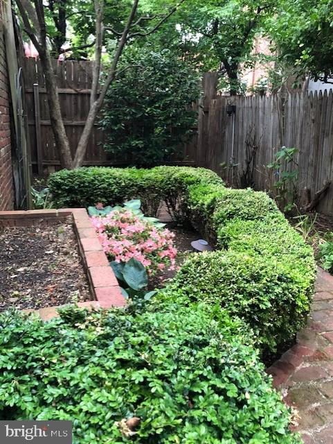 209 9th Street Southeast Washington, DC 20003 - Photo 15 of 26 Secluded, Serene and Spacious Garden/Patio