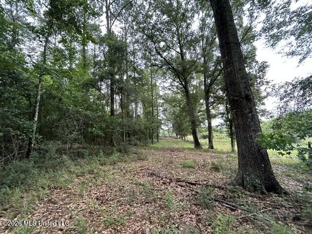 301 Freeman Road Southwest Summit, MS 39666 - Photo 10 of 43 IMG_4591