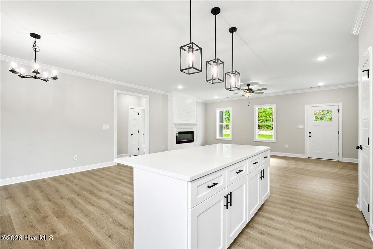 1805 South Big Woods Road Spring Hope, NC 27882 - Photo 13 of 40