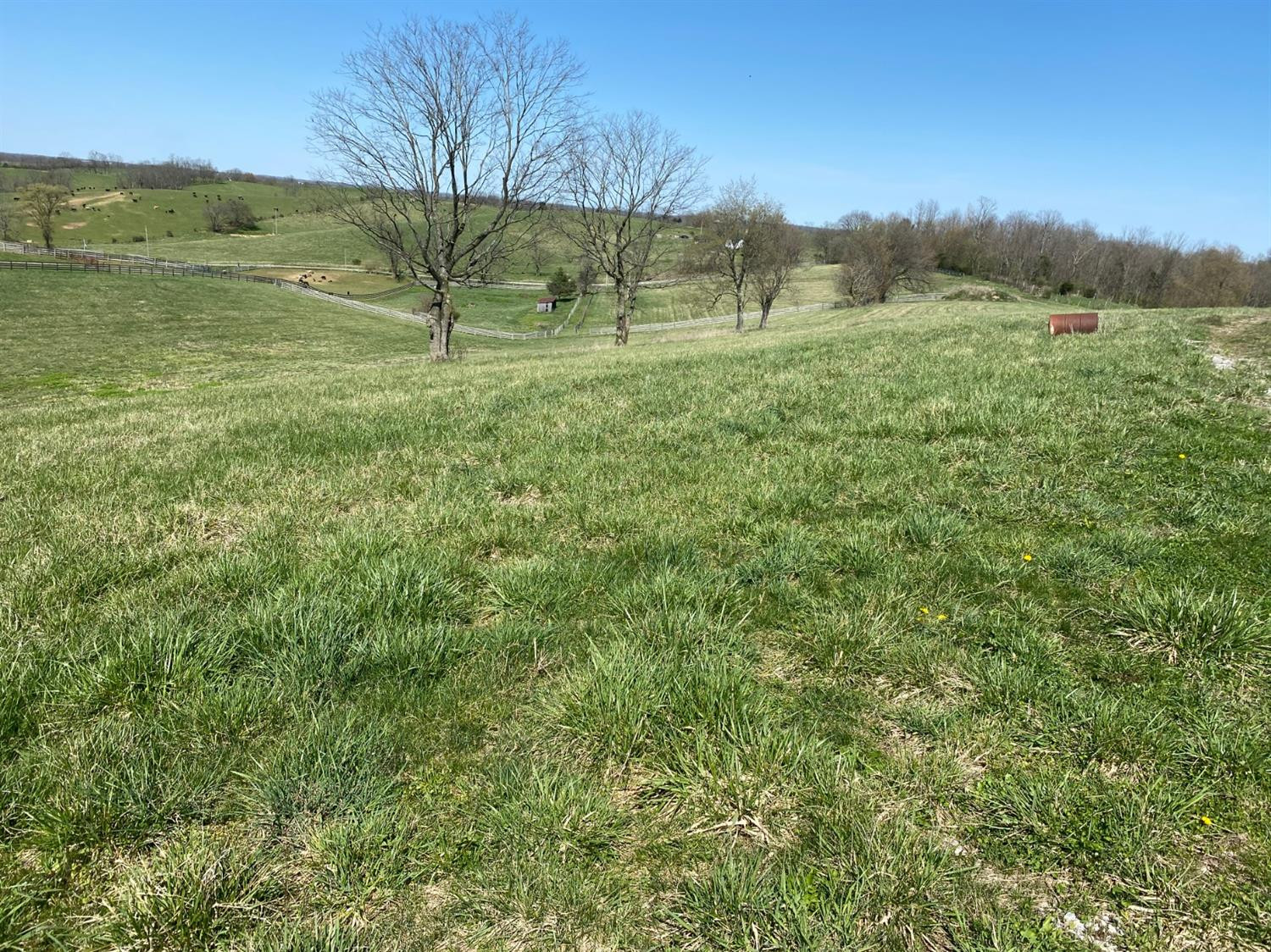 3450 Cane Ridge Road Paris, KY 40361 - Photo 61 of 72 Photo 61