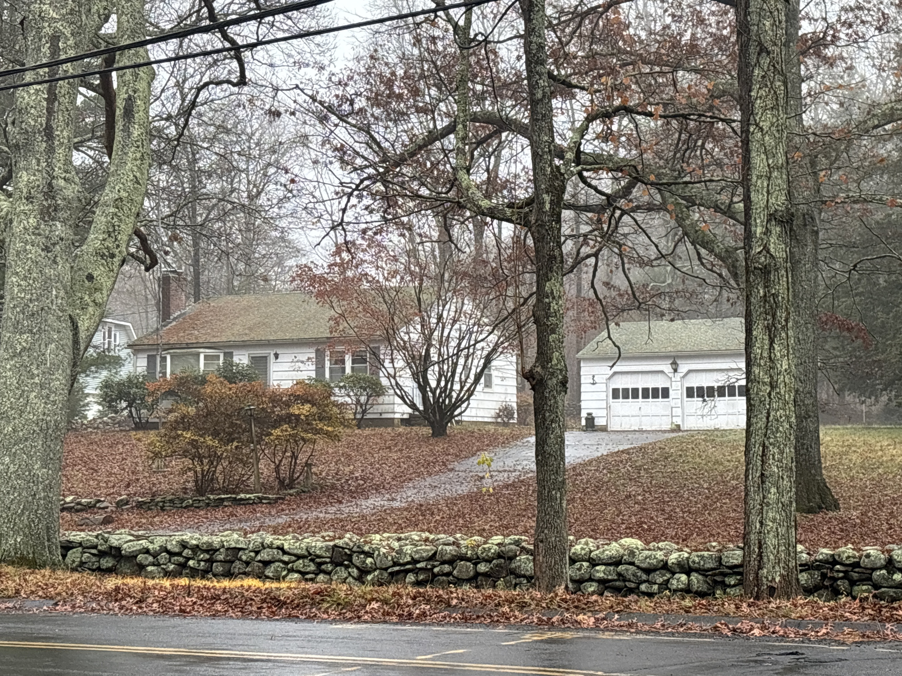 a view of a street sign under a large tree