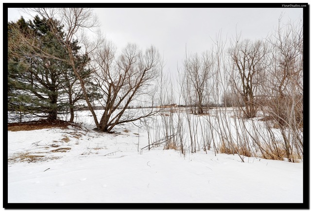 38W709 Seavey Road Batavia, IL 60510 - Photo 21 of 21 a view of snow on the road