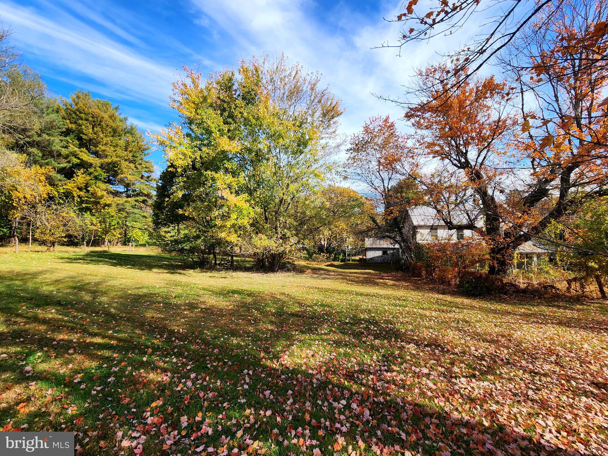 26506 Clarksburg Road Clarksburg, MD 20871 - Photo 23 of 39 a view of yard with large tree