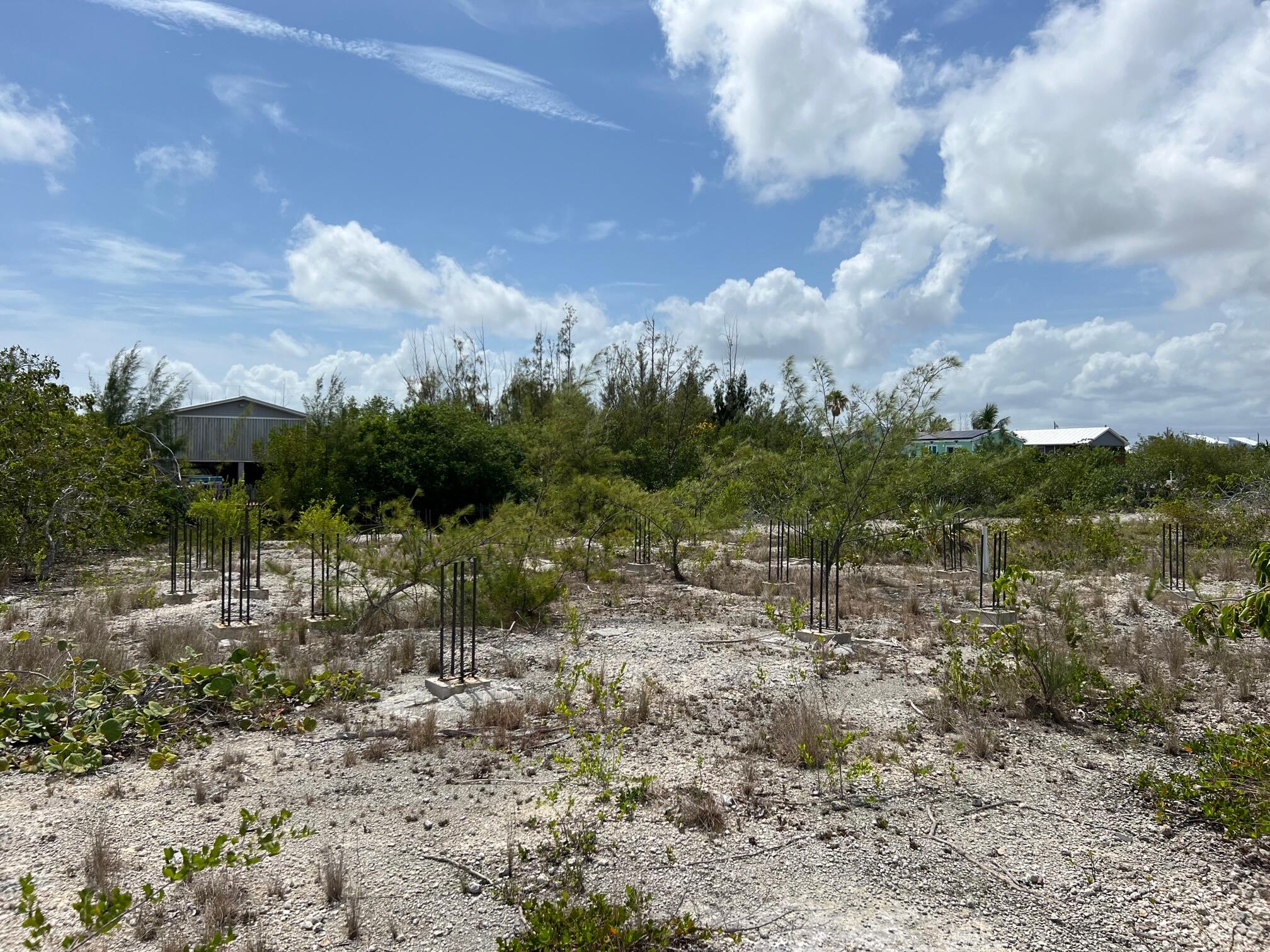 198 Horvath Road Big Pine Key, FL 33043 - Photo 7 of 10 Column Foundation