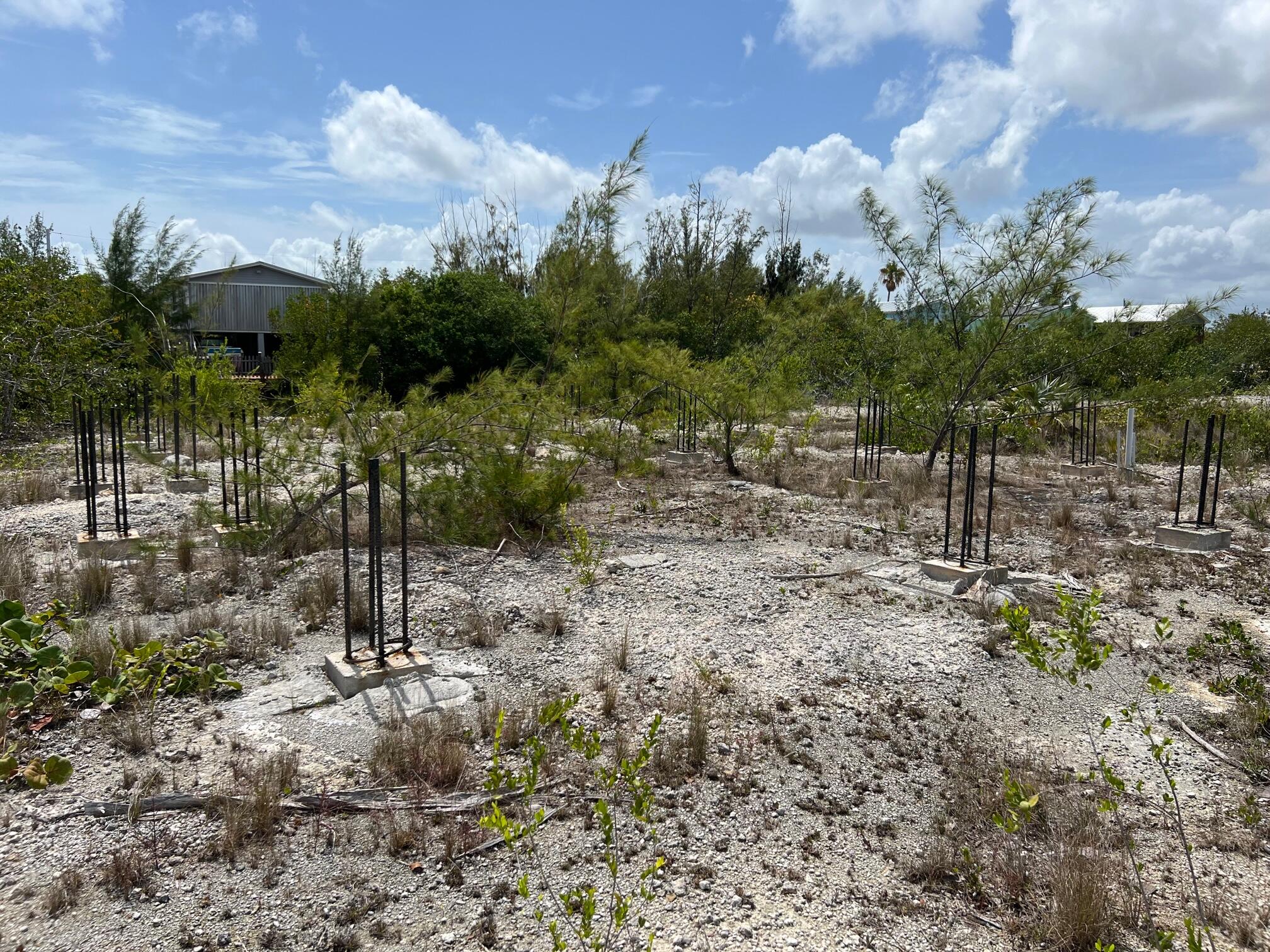 198 Horvath Road Big Pine Key, FL 33043 - Photo 8 of 10 Column Foundation