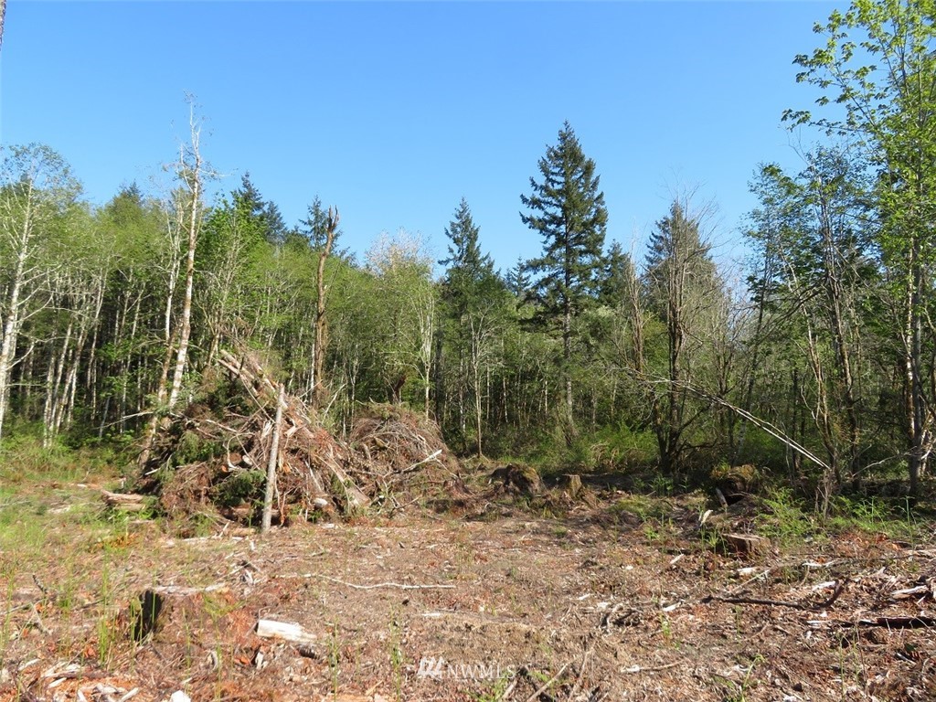 7430 Zangle Road Northeast Olympia, WA 98506 - Photo 22 of 25 Gallery Image 22