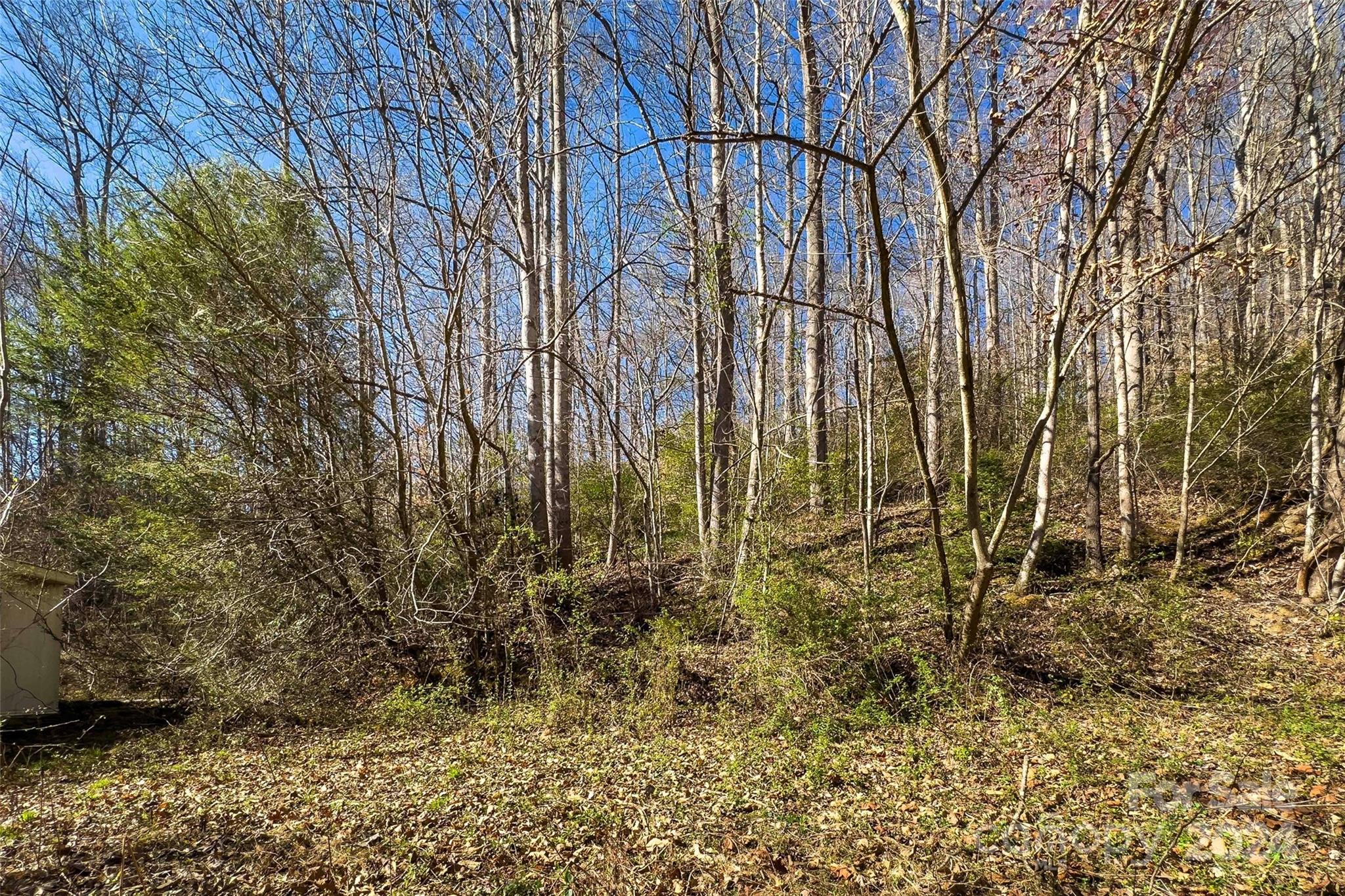 83-137 Shanty Town Road Old Fort, NC 28762 - Photo 1 of 19 Gallery Image 1