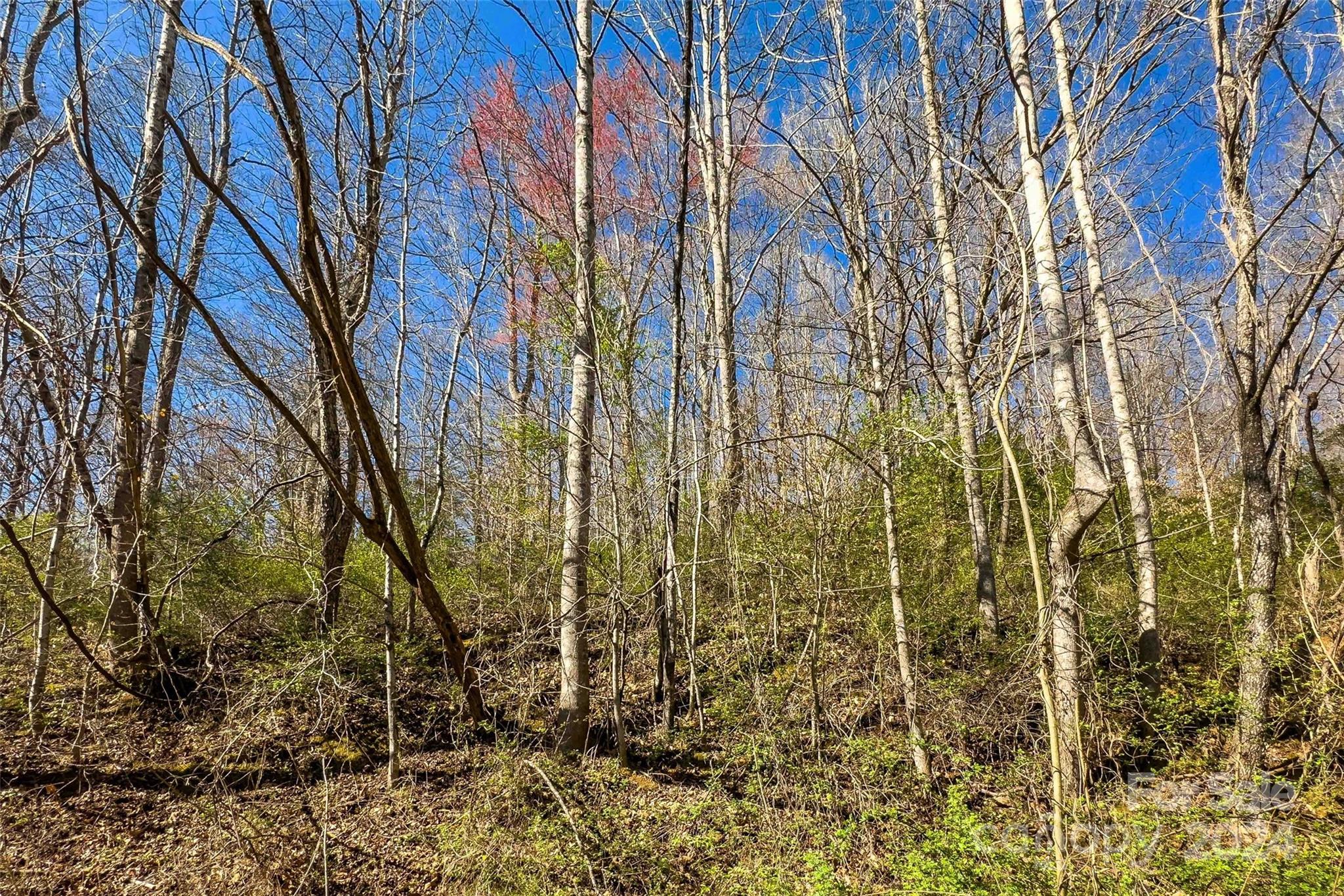 83-137 Shanty Town Road Old Fort, NC 28762 - Photo 7 of 19 Gallery Image 7