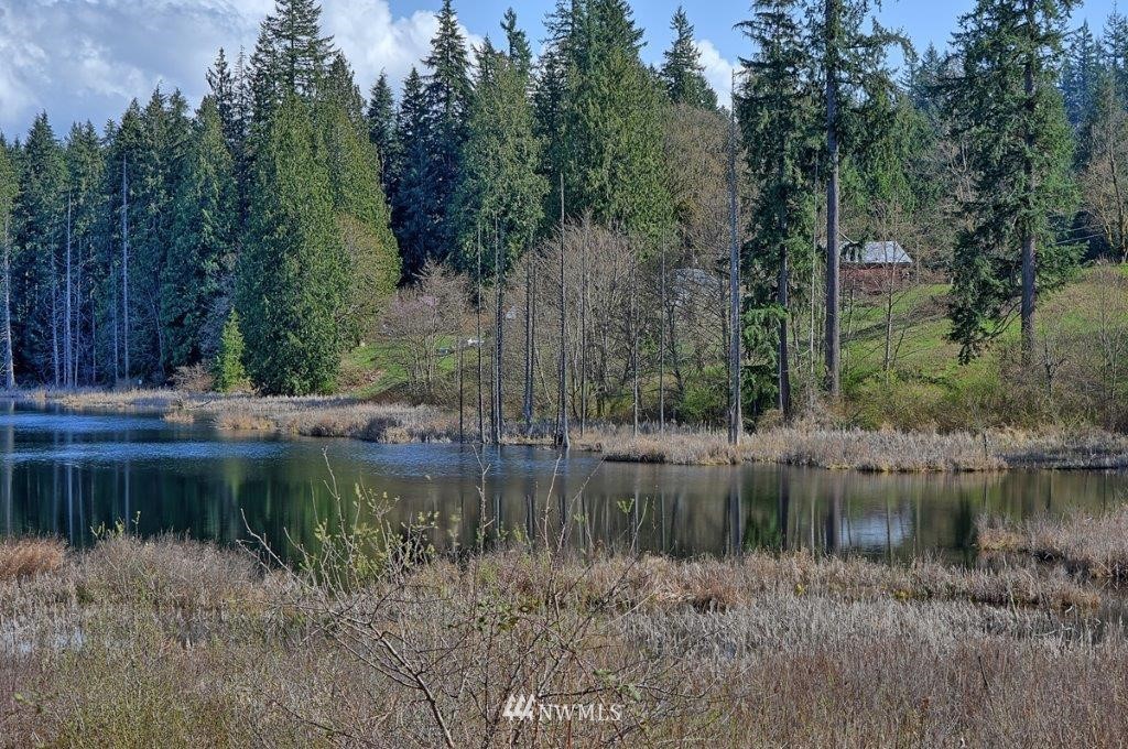 18932 Pipeline Road Snohomish, WA 98290 - Photo 2 of 23