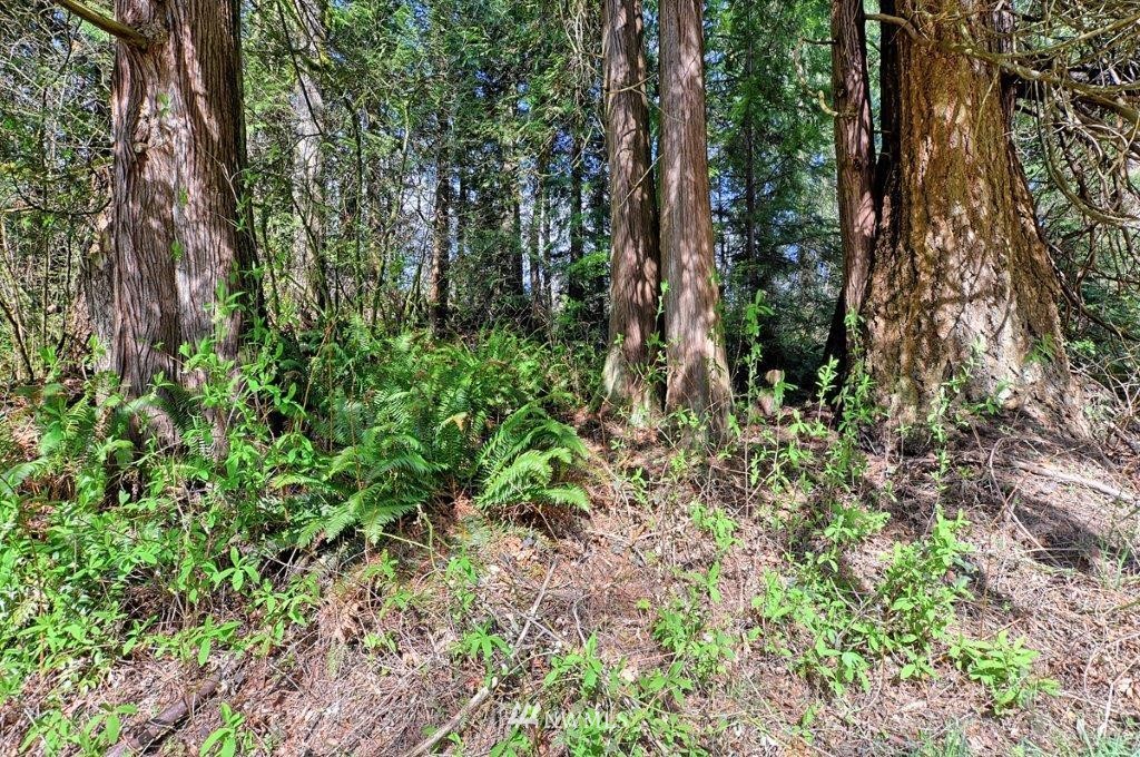 18932 Pipeline Road Snohomish, WA 98290 - Photo 15 of 23