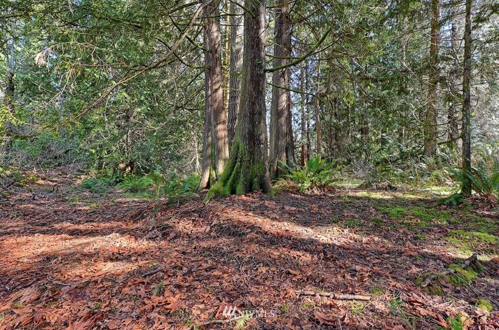 18932 Pipeline Road Snohomish, WA 98290 - Photo 20 of 23