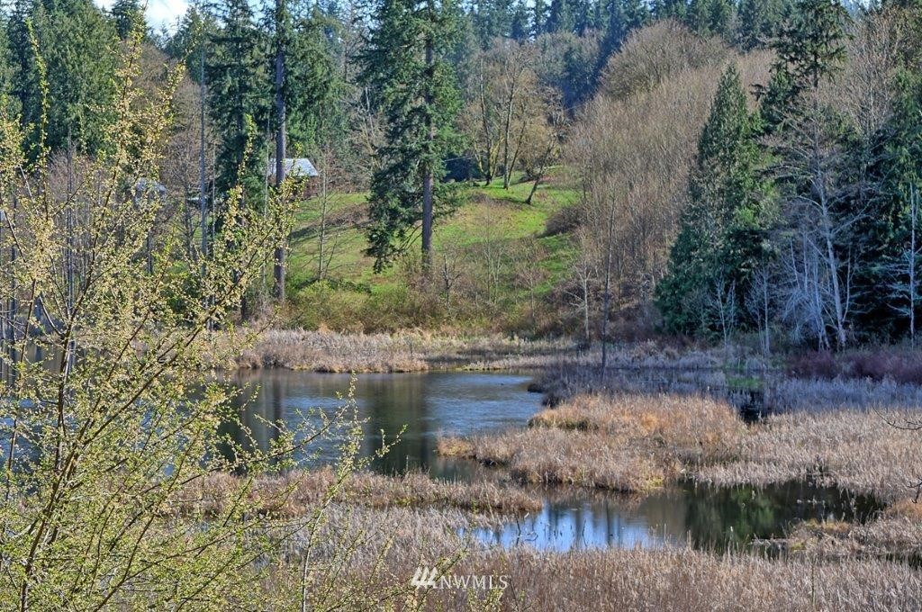 18932 Pipeline Road Snohomish, WA 98290 - Photo 3 of 23