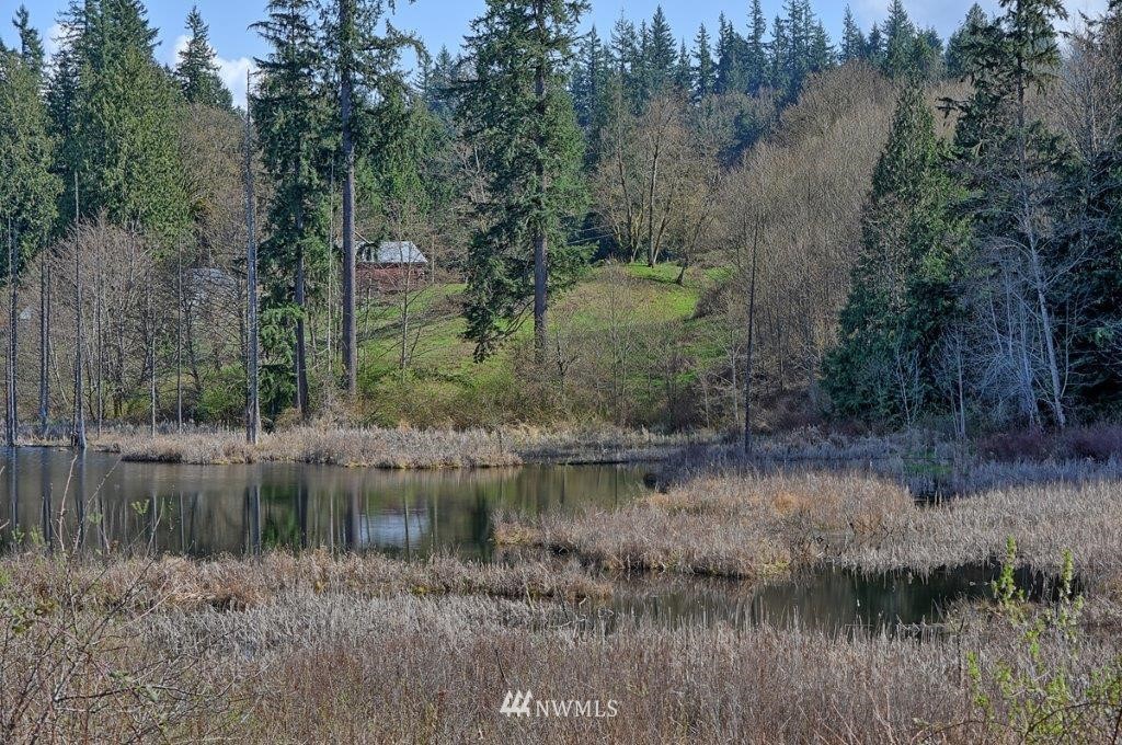 18932 Pipeline Road Snohomish, WA 98290 - Photo 4 of 23