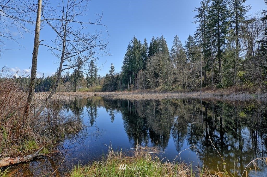 18932 Pipeline Road Snohomish, WA 98290 - Photo 6 of 23