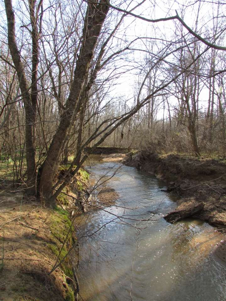 Gentry Dunkley Road Roxboro, NC 27574 - Photo 2 of 15 Water flow most of the year in this creek that feeds into Mayo Lake MAYO CREEK