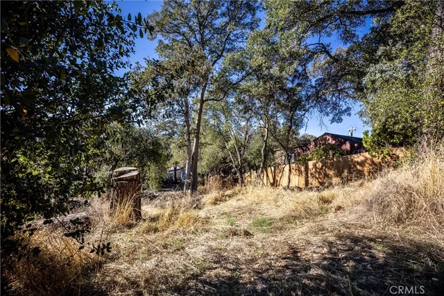 a view of outdoor space with trees all around