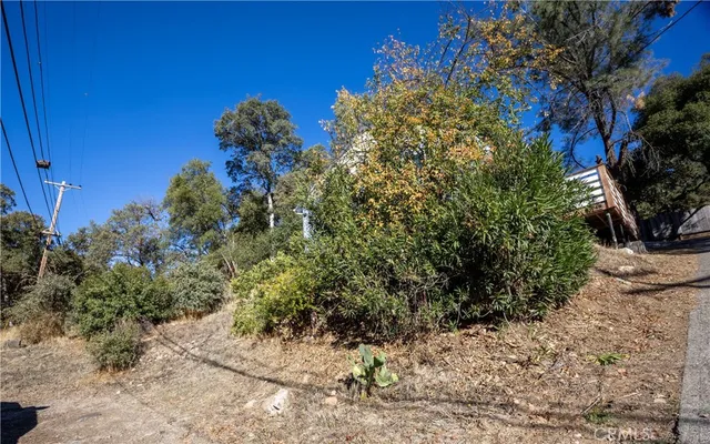 a view of a yard with plants and a tree