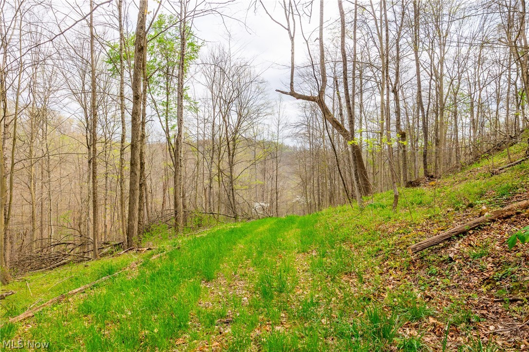 2115 Goss Fork Road, Unit 2 Whipple, OH 45788 - Photo 13 of 23