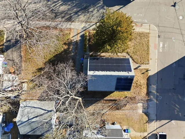 a view of a backyard with plants