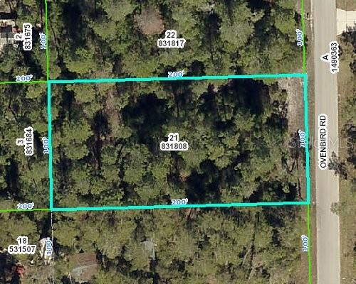 6523 Ovenbird Road Weeki Wachee, FL 34613 - Photo 1 of 1